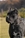 Ch. GALADRIEL DEL ROSSO MALPELO - Triola Cane Corso